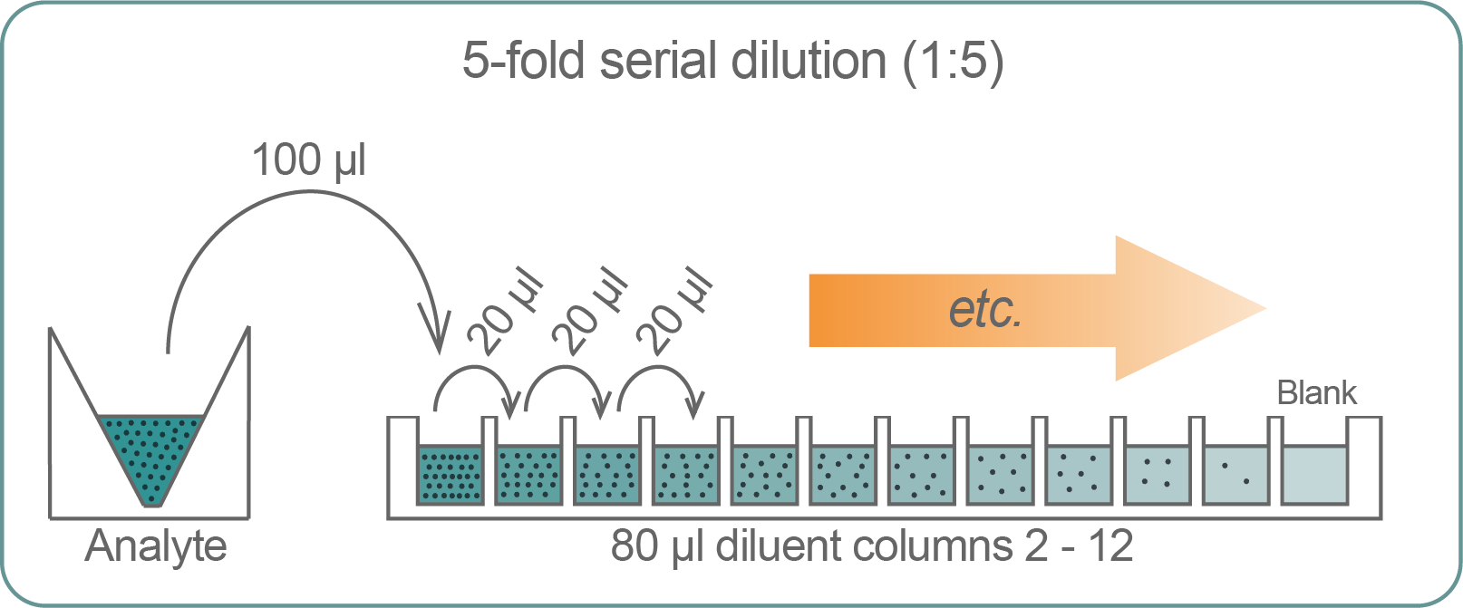 How to perform serial dilution in 96 well flat-bottom plates (5-fold). Alt text: An illustration demonstrating the step-by-step procedure of how to perform a 5-fold serial dilution in 96 well flat-bottom plates.