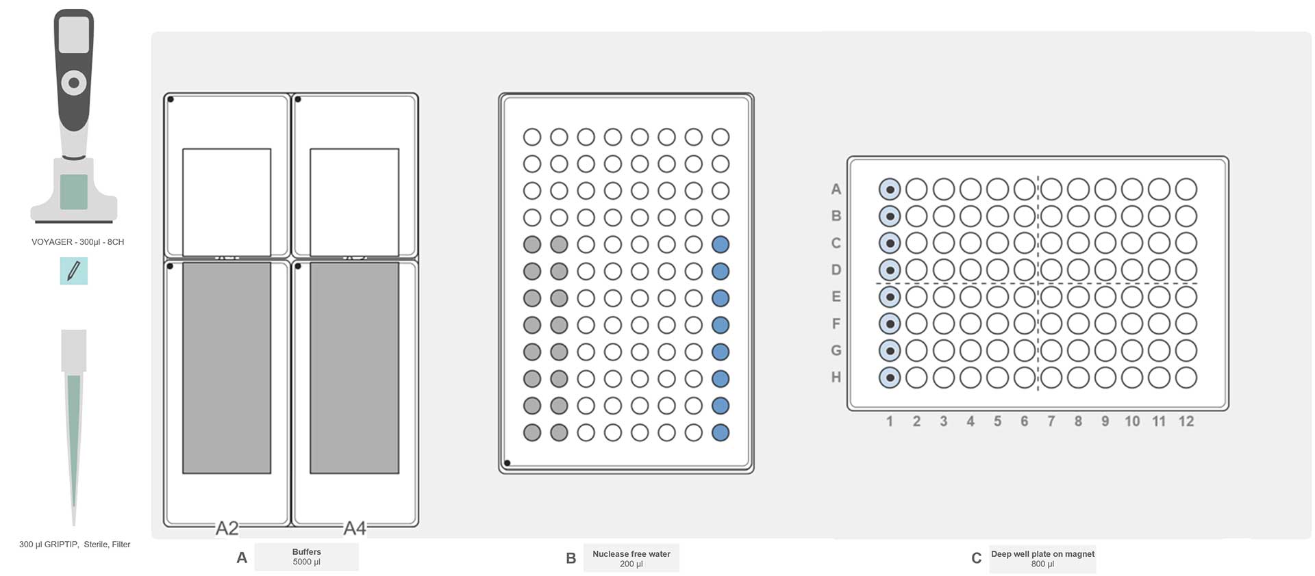 Graphical representation of the ASSIST PLUS pipetting robot deck set-up with a 96 well PCR plate with the elution buffer and a 96 well PCR plate containing the purified DNA bound to magnetic beads.
