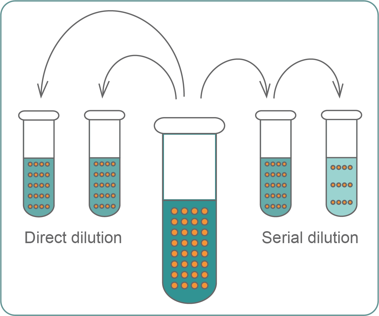 An illustration comparing a direct dilution and a serial dilution.