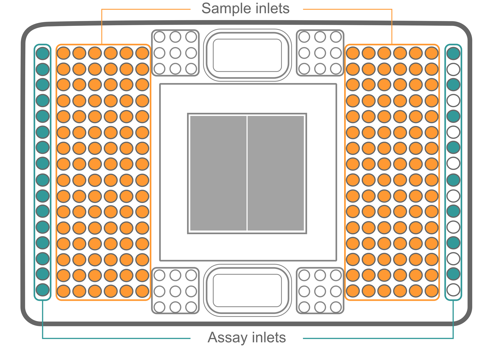 Graphical representation of Fluidigm 192.24 Dynamic Array IFC with the sample and assay inlets.