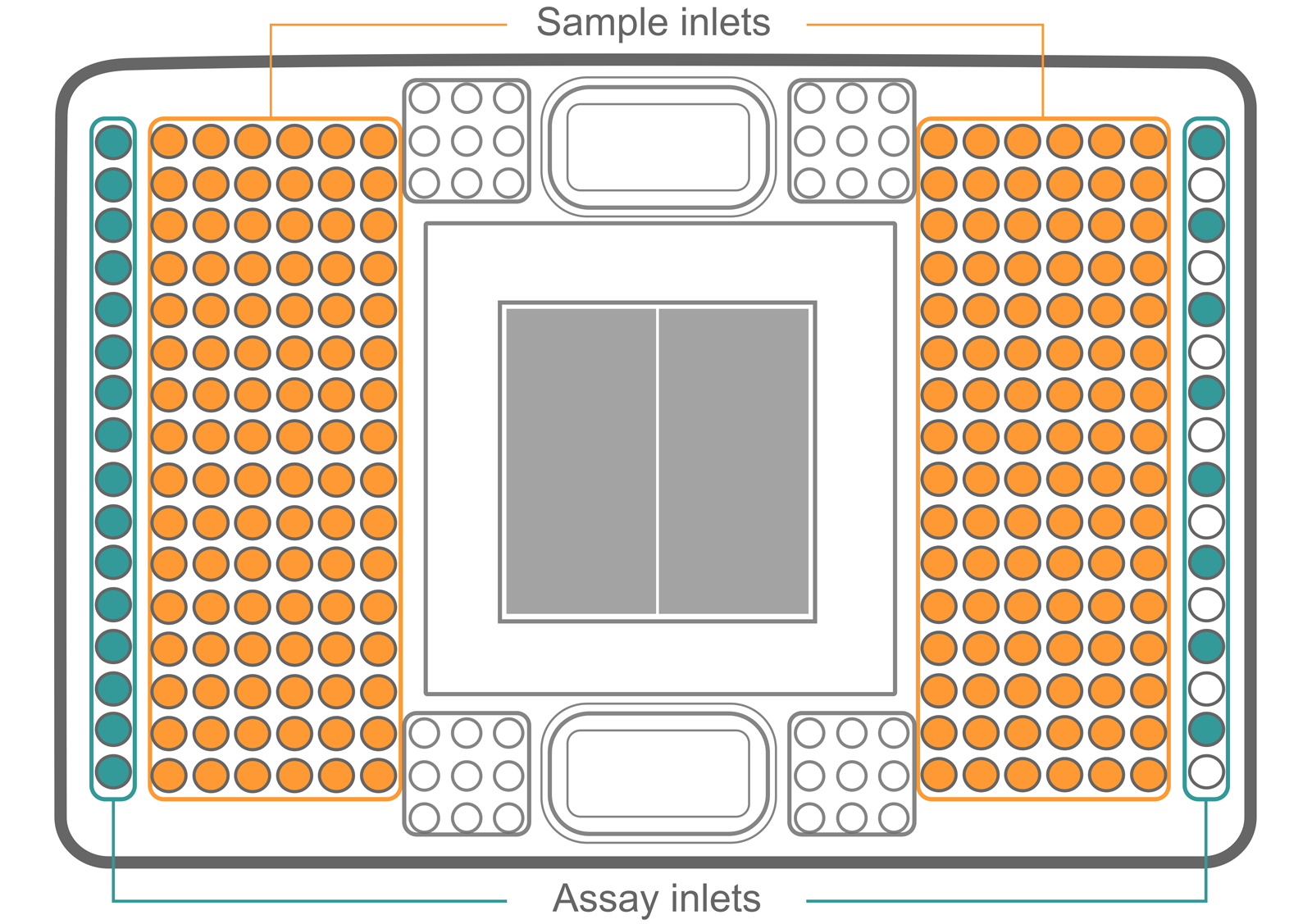 Genotyping assay using the 192.24 IFC and the ASSIST PLUS | INTEGRA