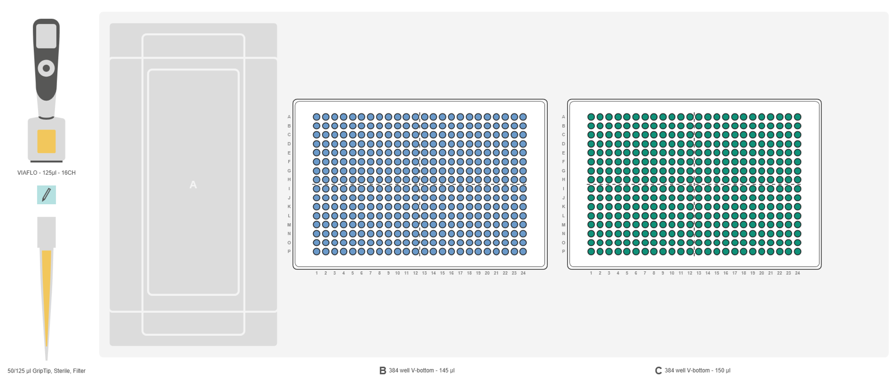 Graphical representation of the ASSIST PLUS pipetting robot deck set-up with the VIAFLO 16 channel electronic pipette.