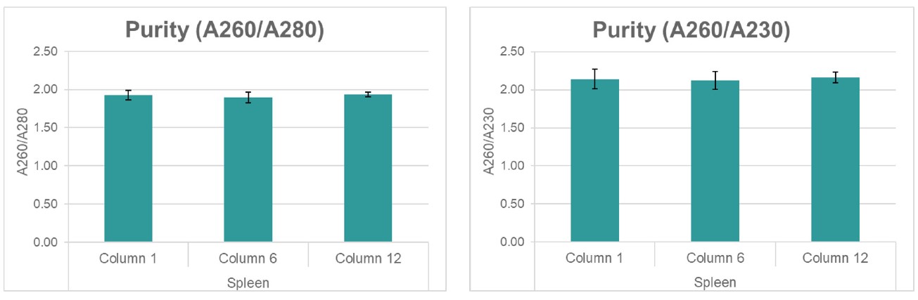 Column diagram showing the purity of genomic DNA extracted from spleen tissues.