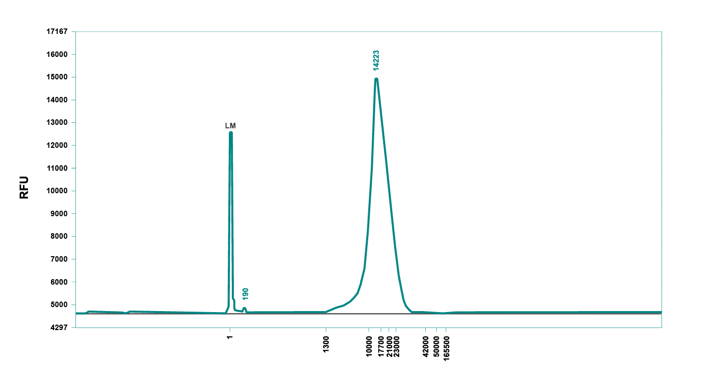 Graphical representation of the library size distribution of the library prepared with the MIRO CANVAS. The electropherogram shows efficient removal of small library molecules.