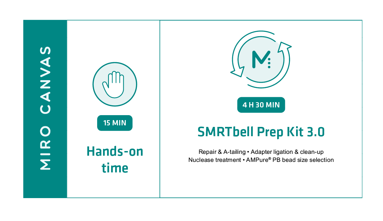 Graphical representation of the manual and automated whole genome sequencing prep workflow.