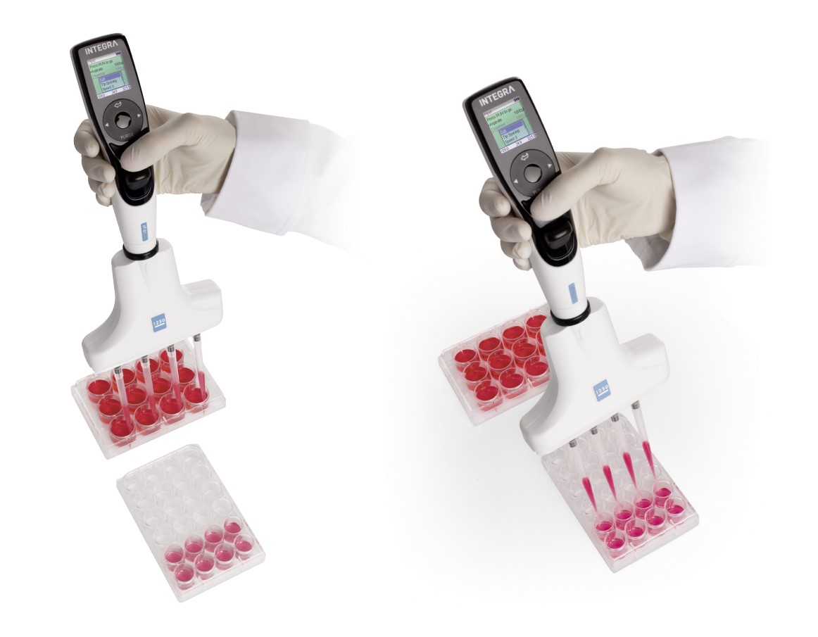 Sample transfer from a 12 well plate to a 24 well plate with a 4 channel VOYAGER adjustable tip spacing pipette.