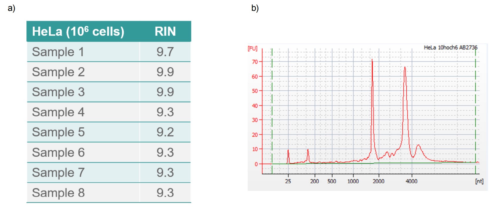 High RNA integrity values of eight different RNA samples isolated with MACHEREY-NAGEL NucleoSpin 96 RNA processed on the ASSIST PLUS pipetting robot.