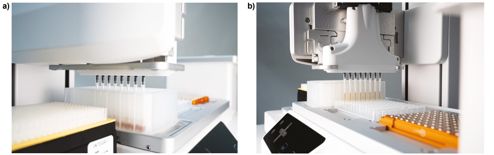 The ASSIST PLUS and the VOYAGER pipetting magnetic beads from a DWP into a PCR plate containing sheared gDNA.