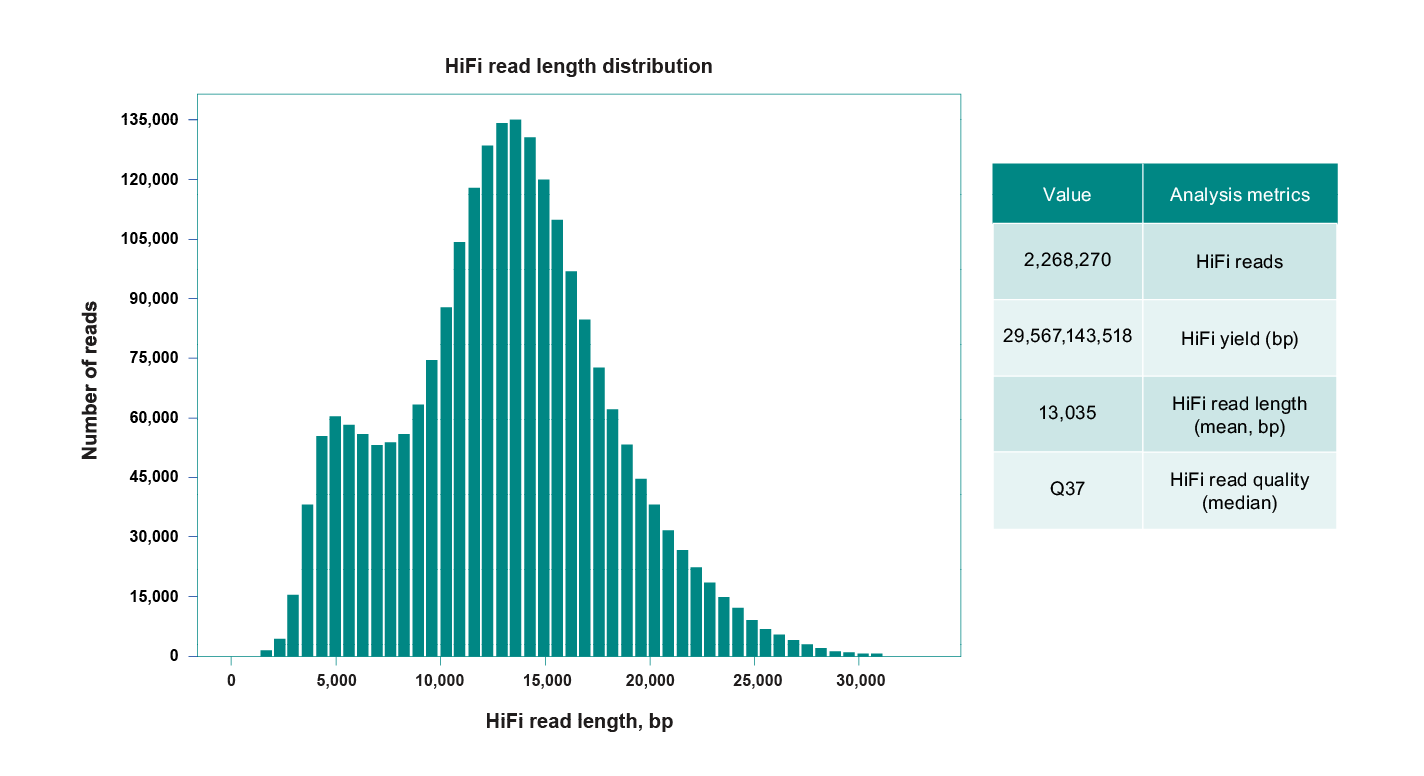 Graphical representation of the sequencing results of the SMRTbell prep kit. The yield, read length and read quality of the automatically prepared libraries are equivalent to the manually prepared libraries.