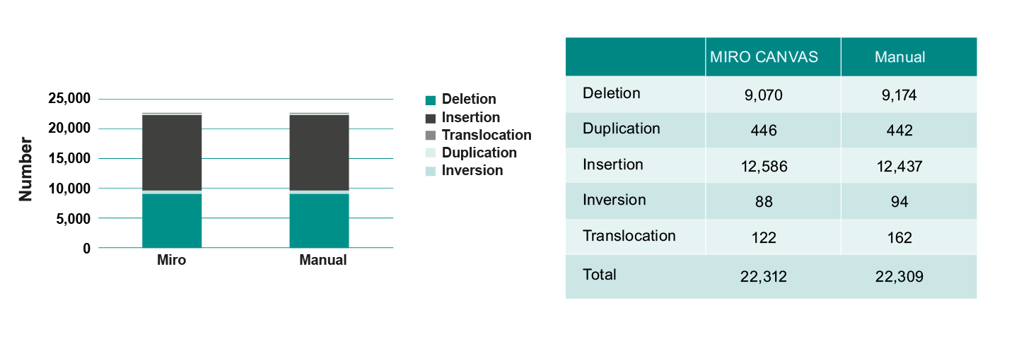 Graphical representation of the detection of deletions, duplications, insertion, inversions and translocations in the control DNA sample. The manual and automated results are comparable.