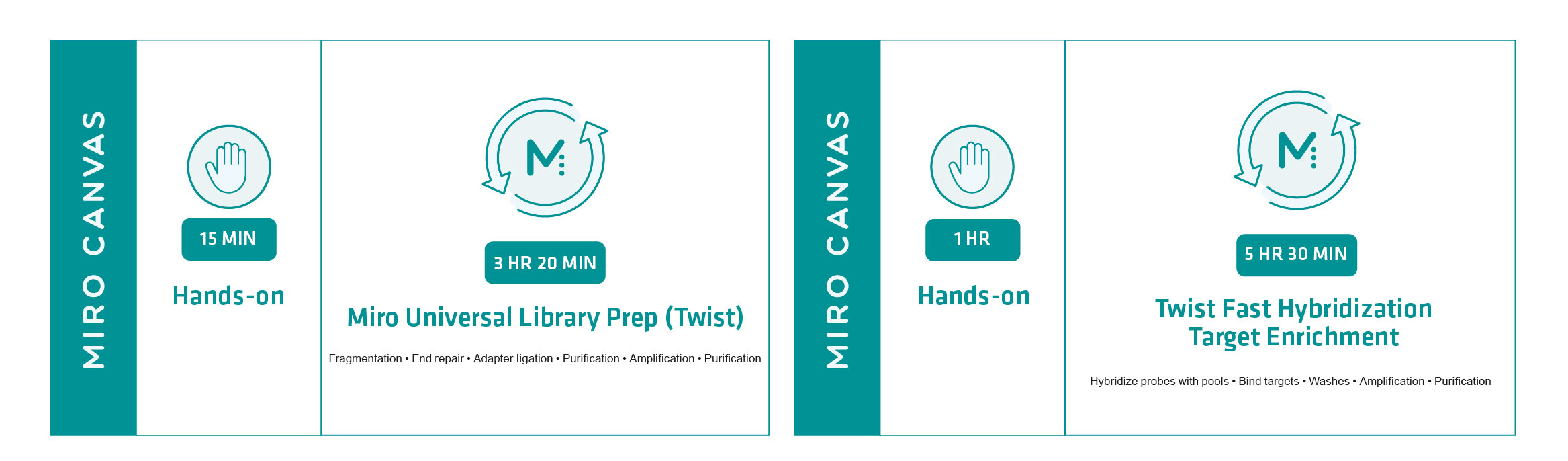 Graphical representation of the manual and automated Twist human exom library prep workflow.