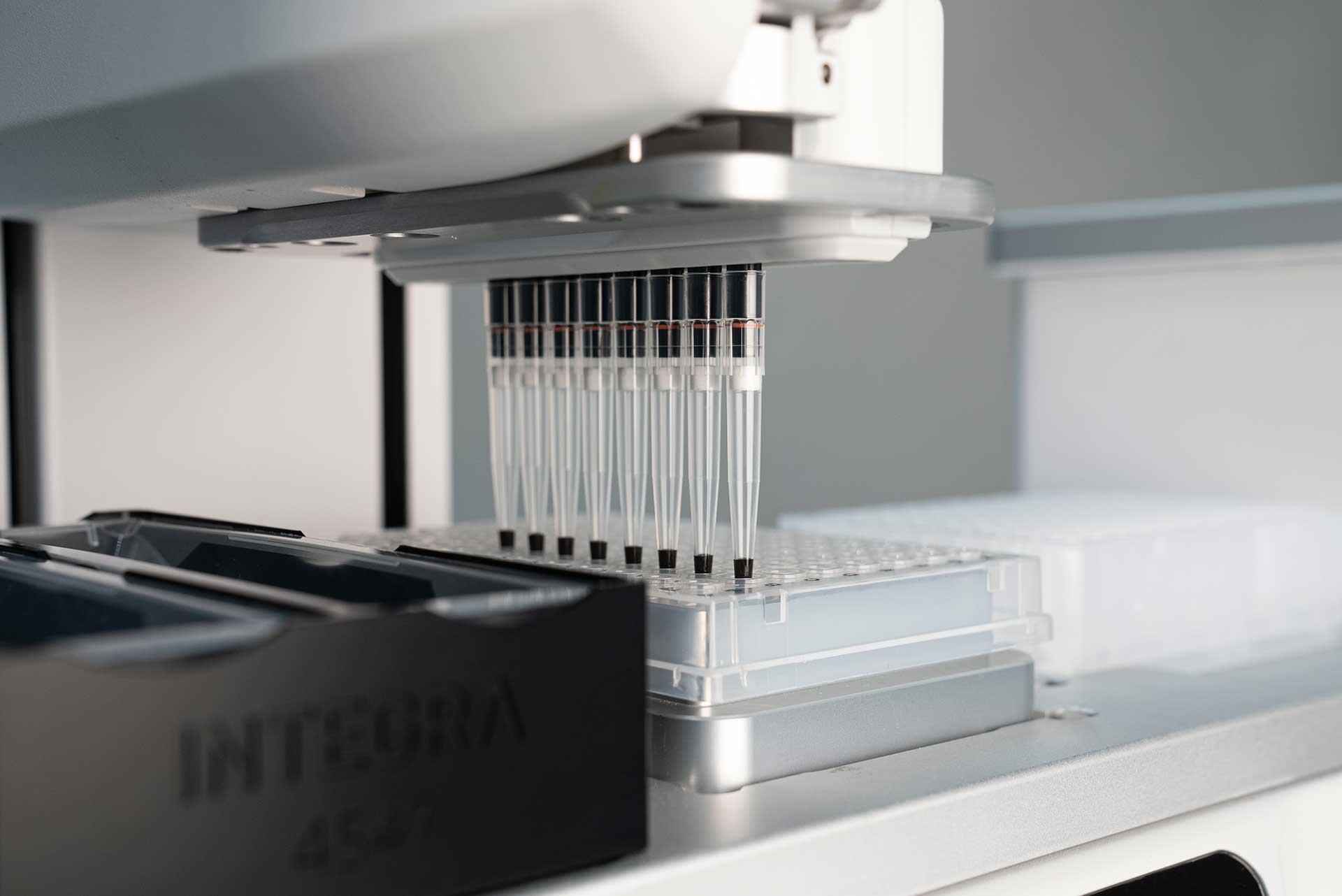 ASSIST PLUS pipetting machine is aspirating the magnetic beads from the wells of a 96 well PCR plate to be added to the samples. 