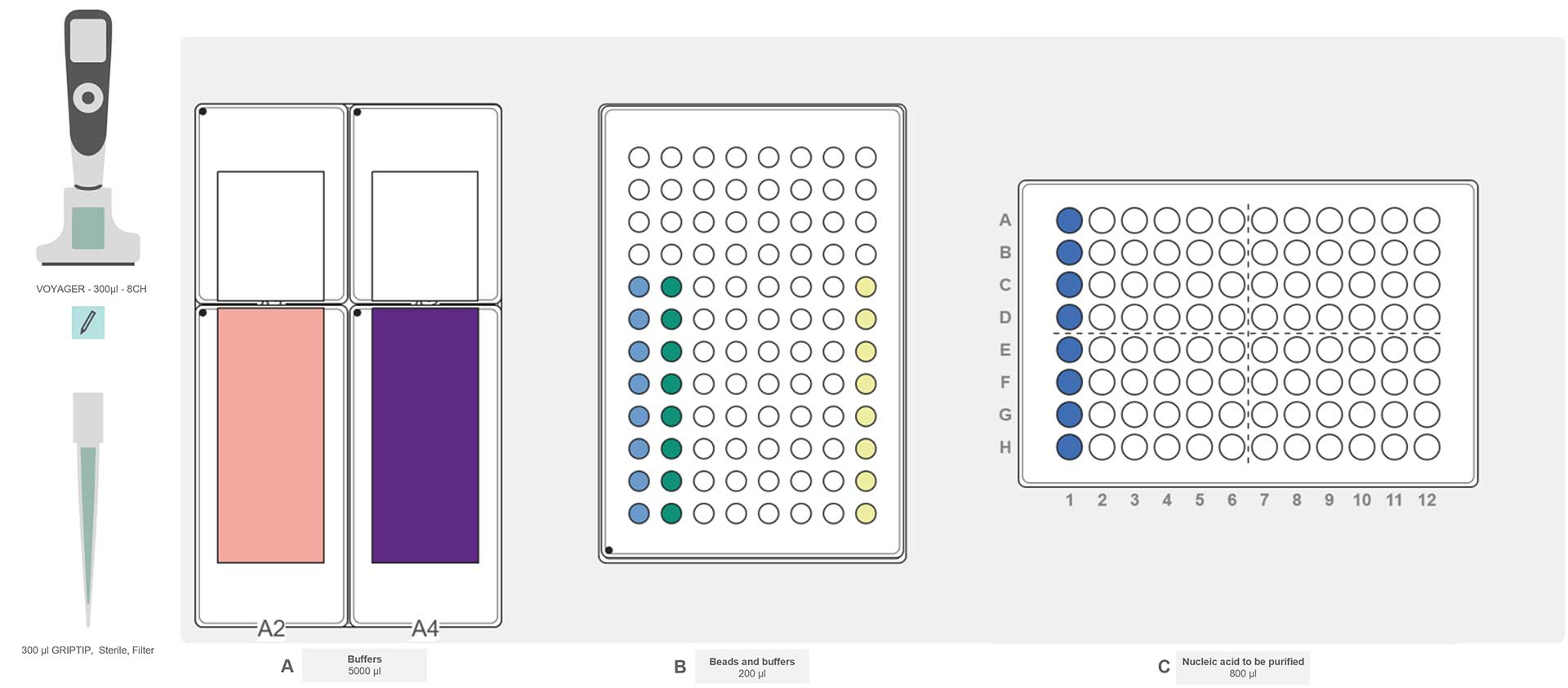 Graphical representation of the ASSIST PLUS pipetting robot deck set-up with divided reservoirs containing the buffers, 96 well PCR plate with nuclease-free water, magnetic beads and elution buffer and a 96 well PCR plate containing the DNA to be purified.