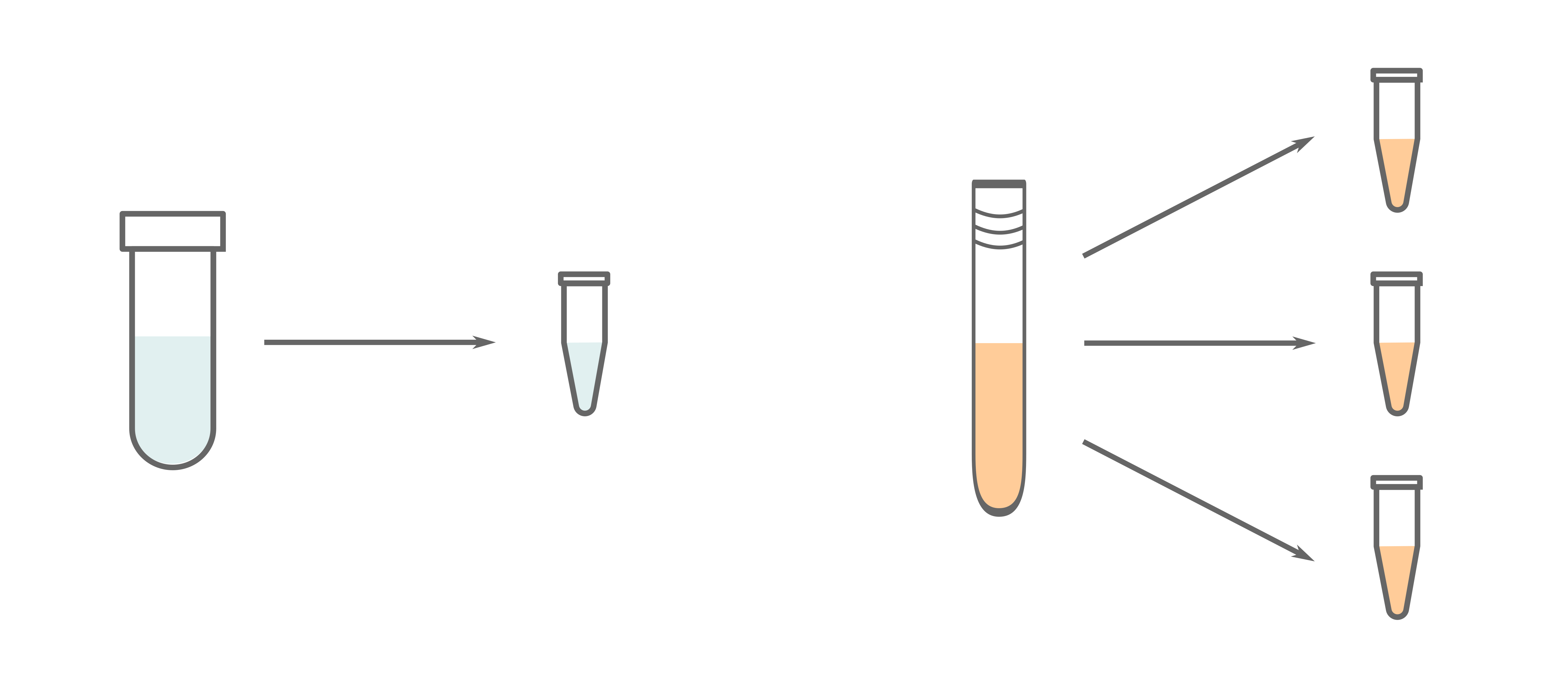 Schematic of single and multiple aliquoting of samples between different labware types.