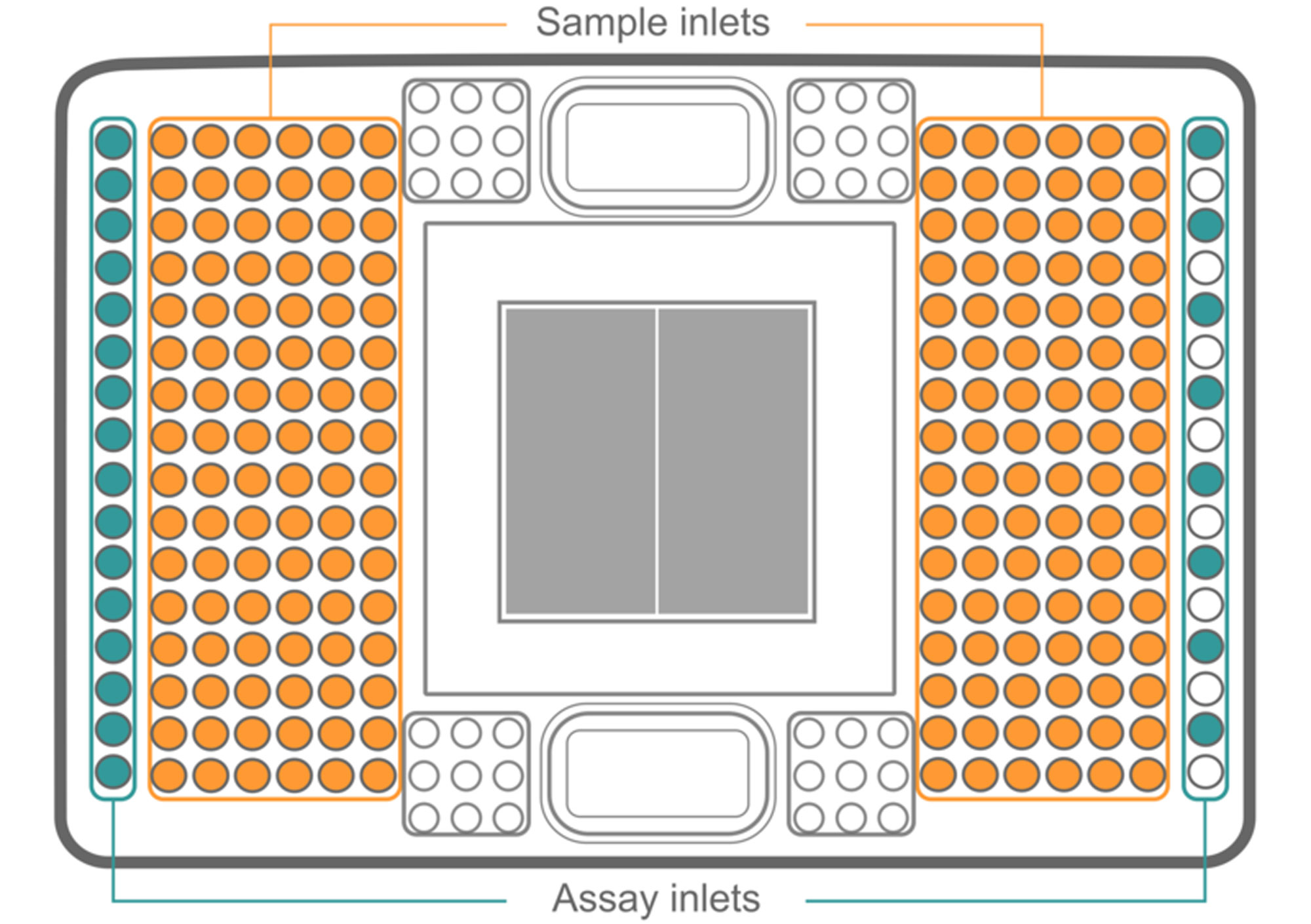 Graphical representation of Fluidigm 192.24 Dynamic Array IFC with the sample and assay inlets.