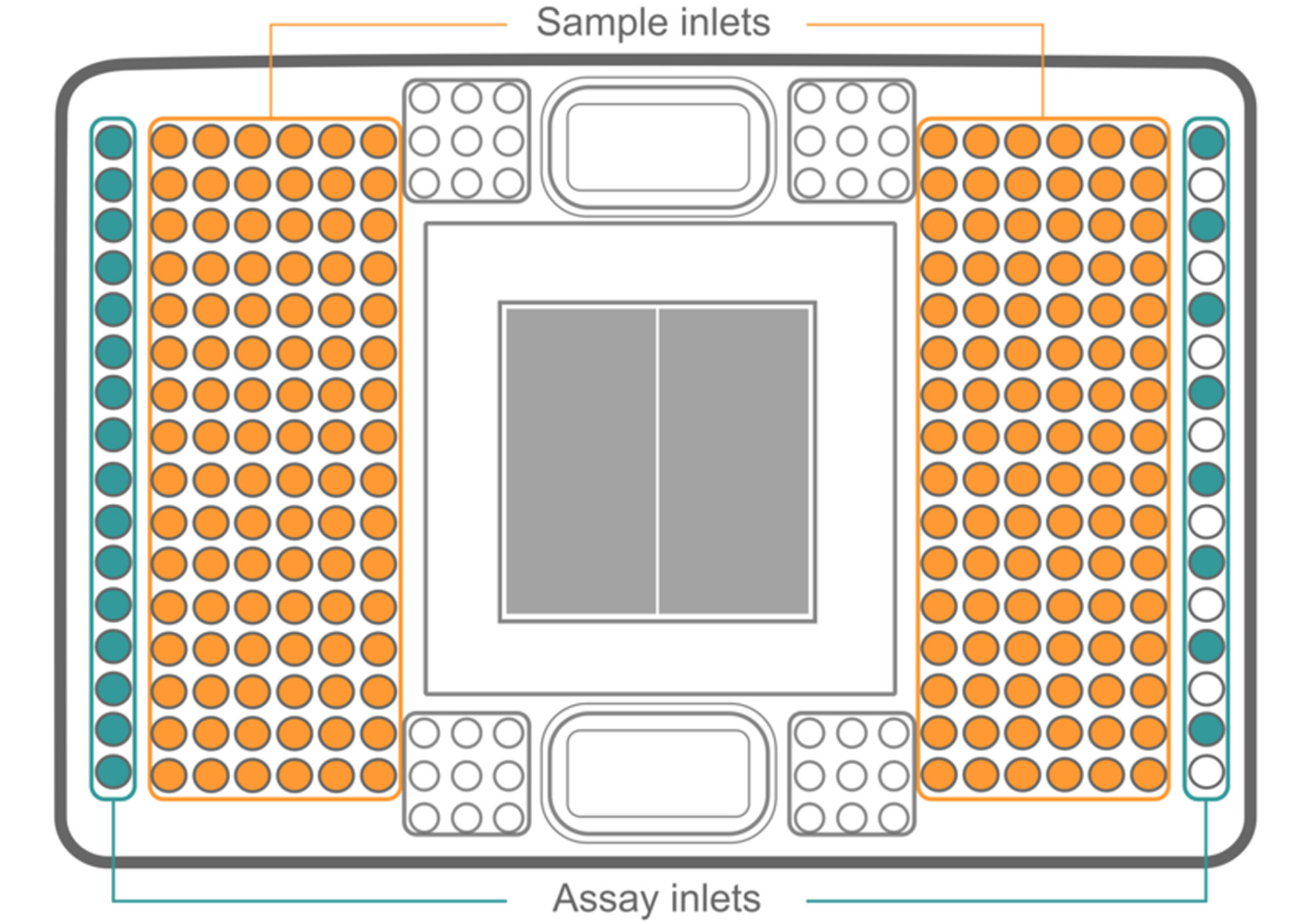 Graphical representation of Fluidigm 192.24 Dynamic Array IFC with the sample and assay inlets.