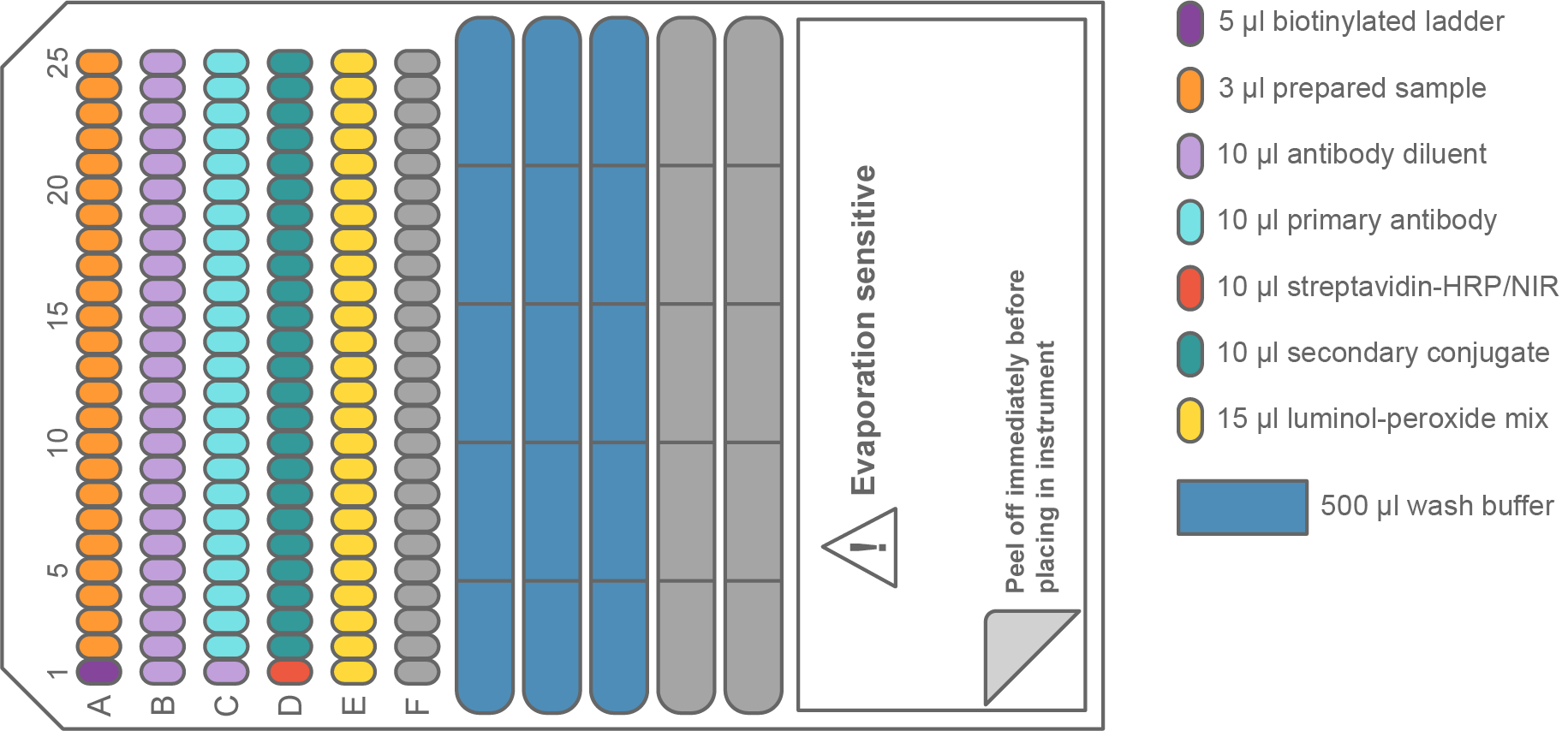 Illustration of how the Simple Western Jess plate is filled with reagents when performing chemiluminescence analysis of 24 samples.