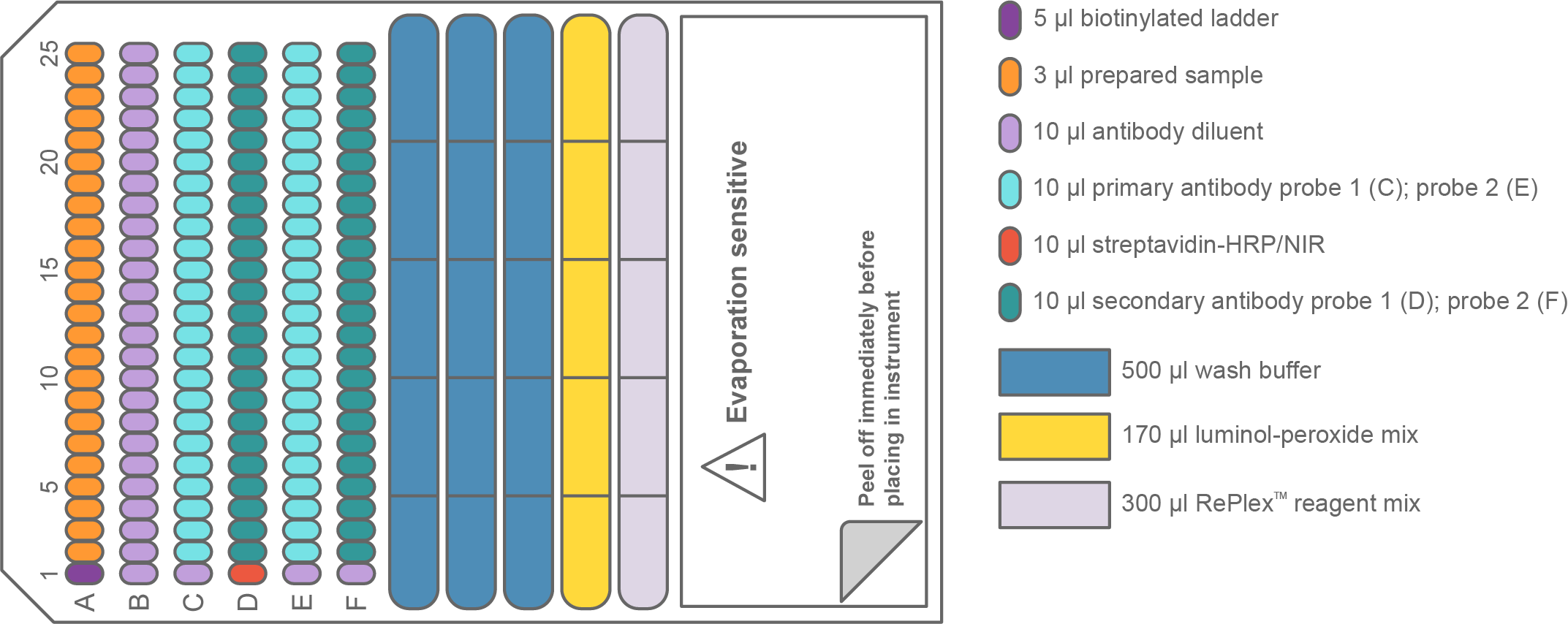 Illustration of how the Simple Western Jess plate is filled with reagents when performing RePlex chemiluminescence analysis of 24 samples.