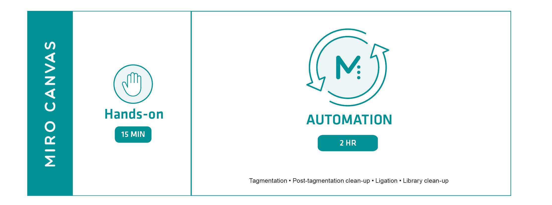 Graphical representation of the manual and automated Illumina PCR-free library prep workflow.