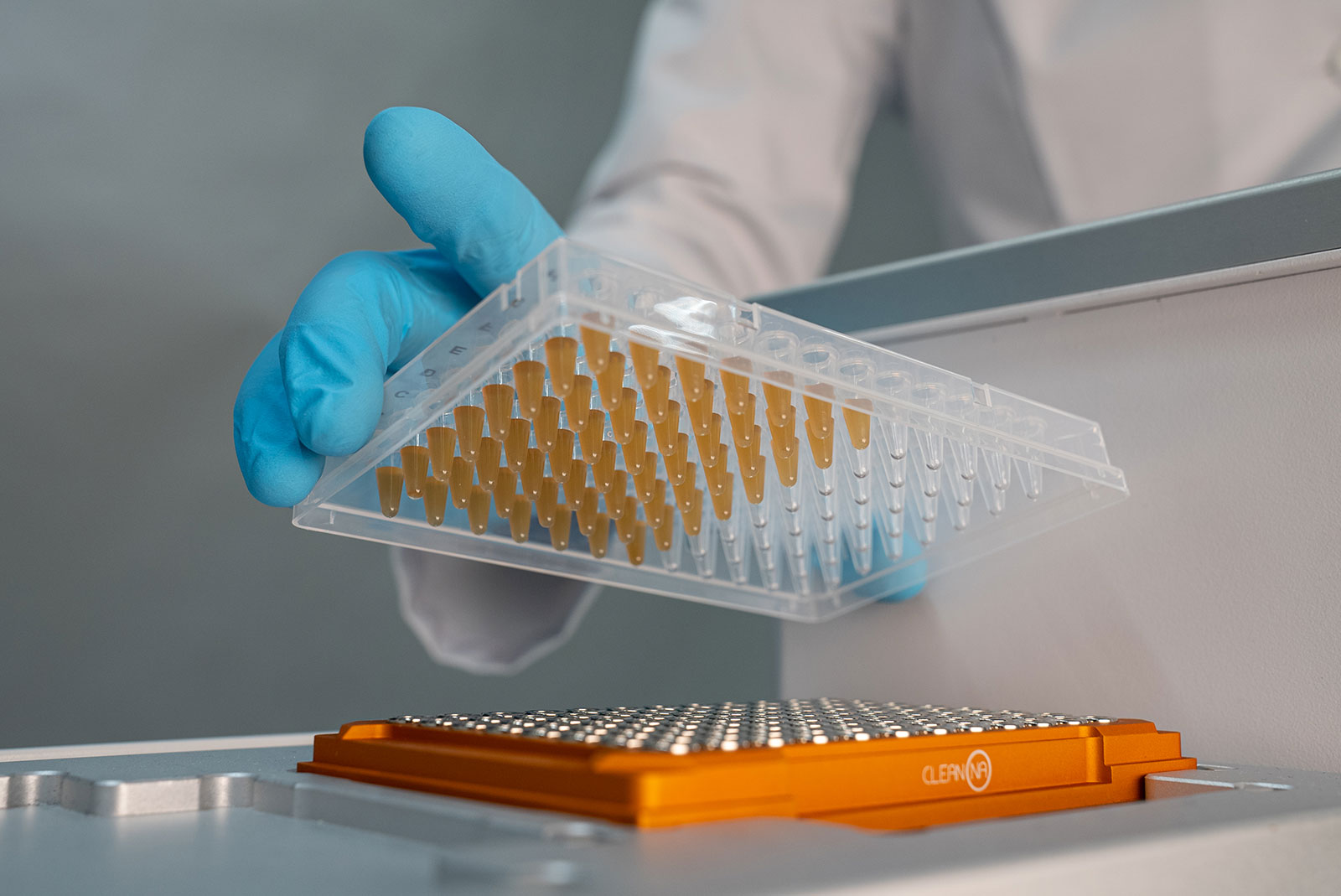 The user manually transfers a 96 well PCR plate onto the Clean magnet plate when prompted by the VOYAGER.