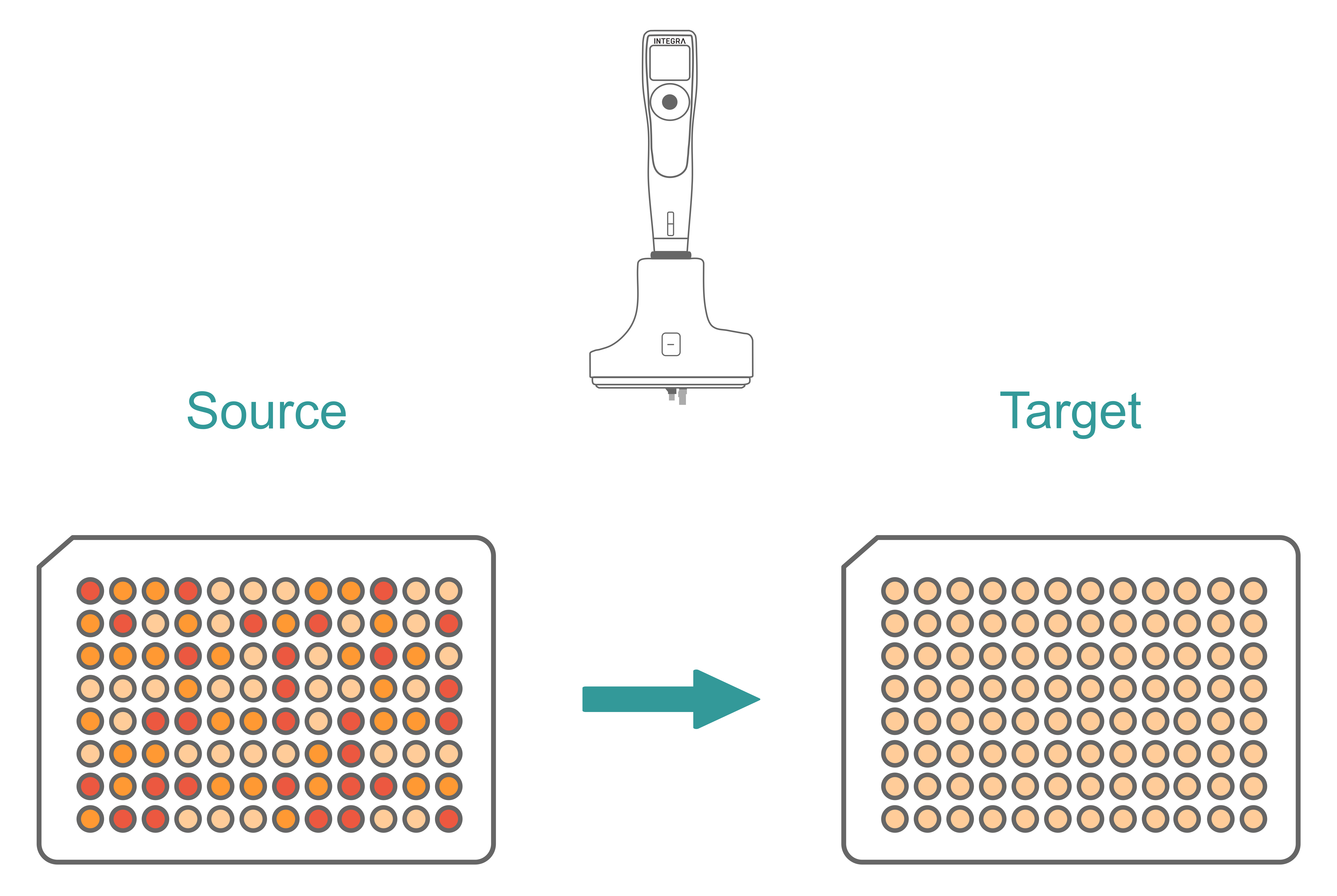 Graphical representation of the sample normalization workflow with the D-ONE single channel pipetting module.