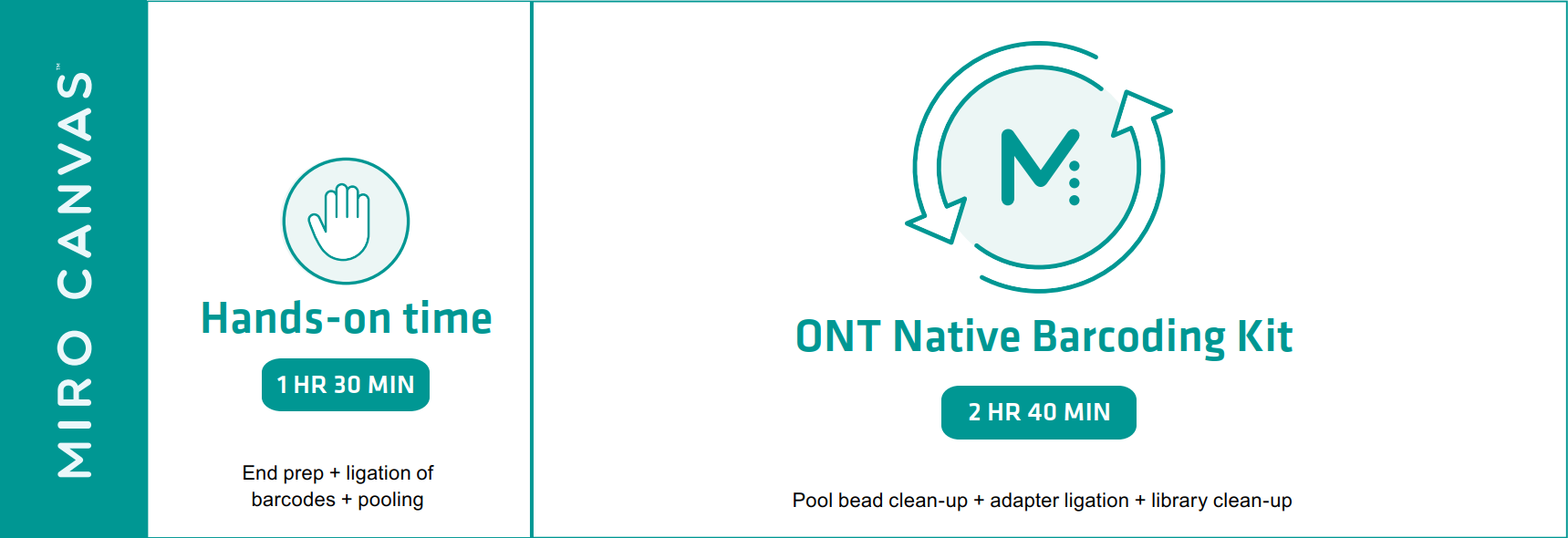 Overview of the experimental set-up for the ONT Native Barcoding Kit on the MIRO CANVAS.