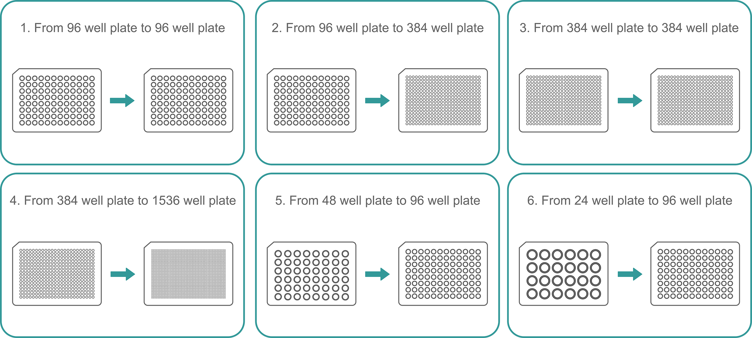 Infographic showing the most common plate to plate transfer procedures with INTEGRA electronic pipettes.