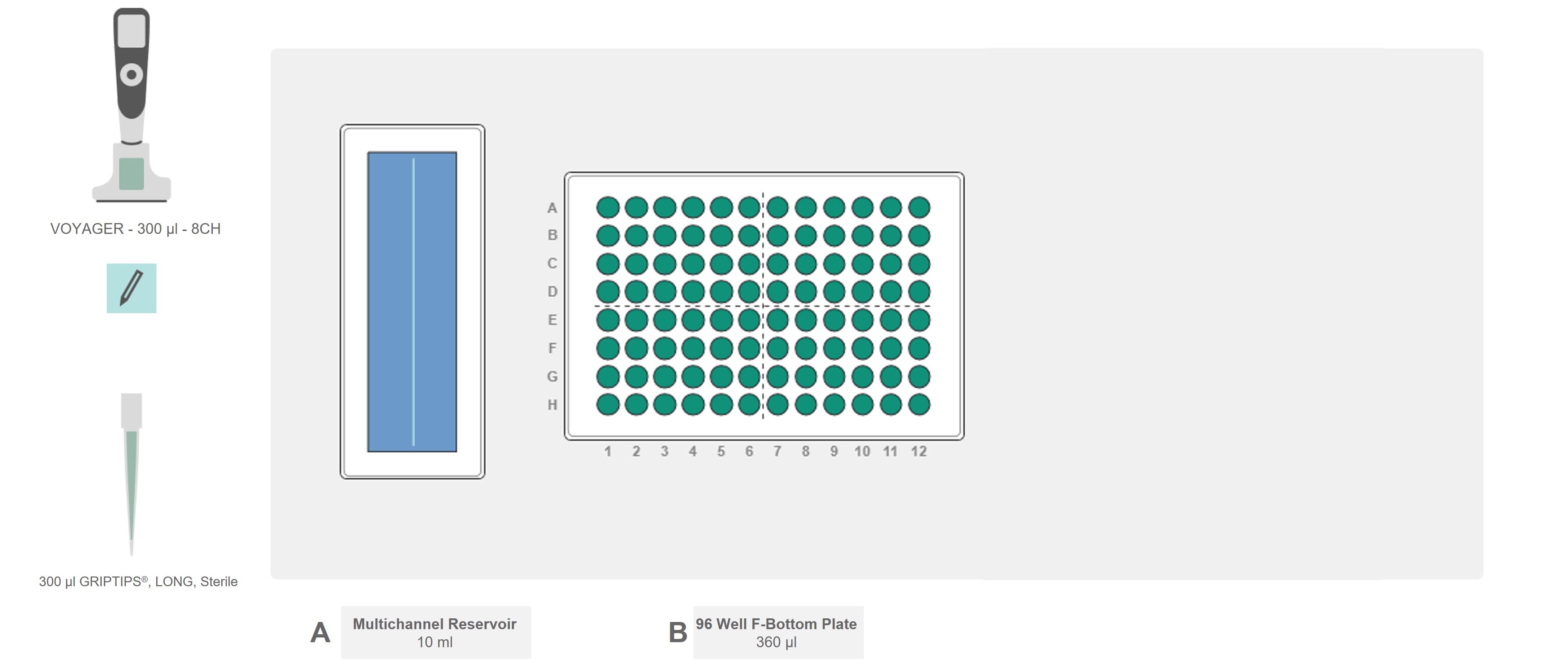 Graphical representation of the ASSIST PLUS pipetting robot deck set-up with the working endotoxin reagent and a 96 well plate containing the pre-incubated standards and samples.