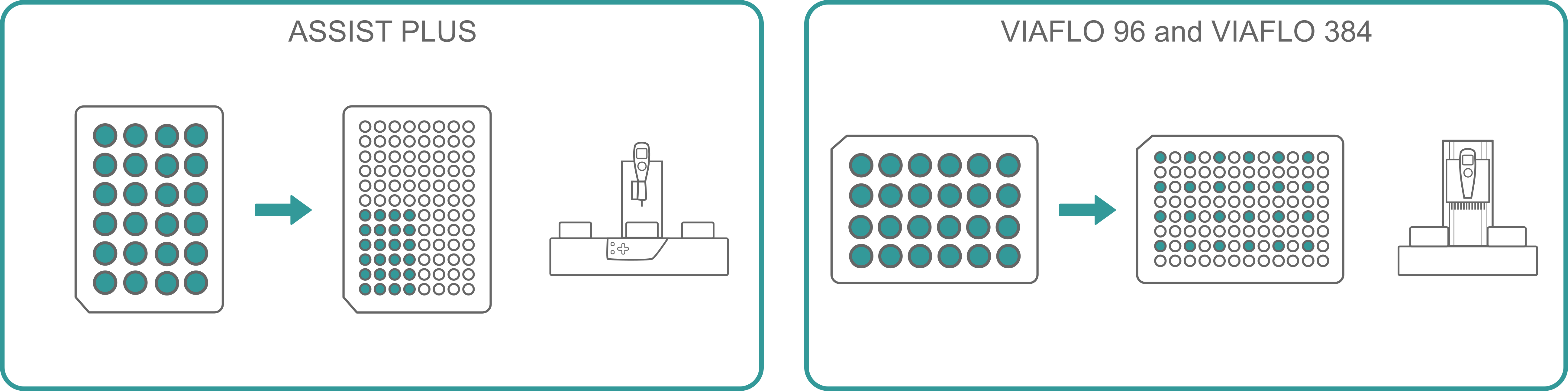 Infographic showing the different pipetting position for the ASSIST PLUS, VIAFLO 96 and VIAFLO 384 during sample transfer from a 24 well plate to a 96 well plate.