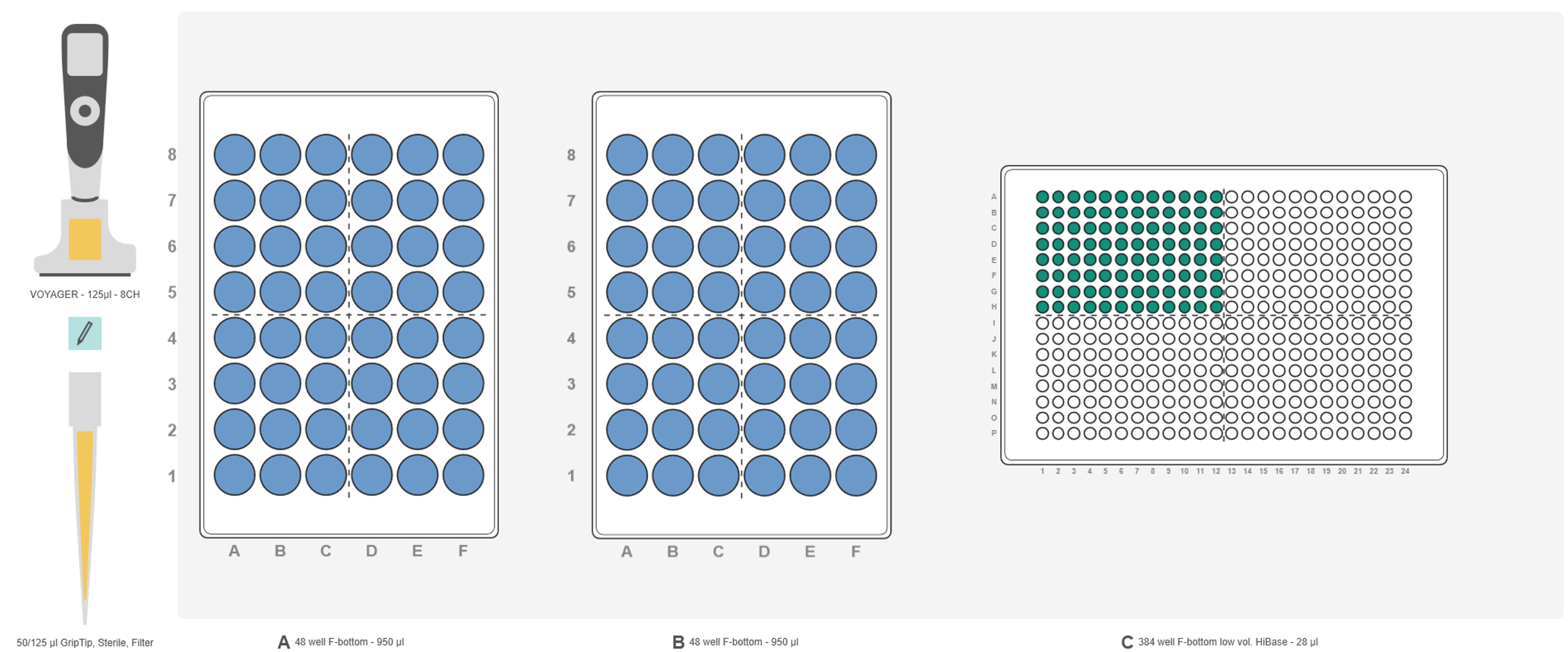 Graphical representation of the ASSIST PLUS pipetting robot deck set-up for sample transfer from two 48 well plates to a 384 well plate.