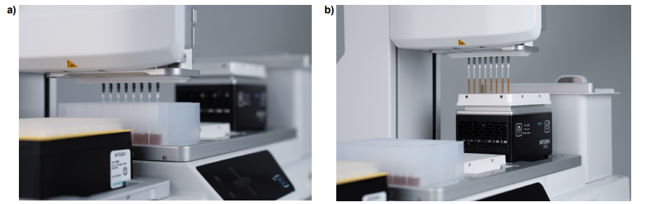 ASSIST PLUS and VOYAGER pipette magnetic beads from a DWP into a PCR plate containing sheared gDNA on the MAG module.