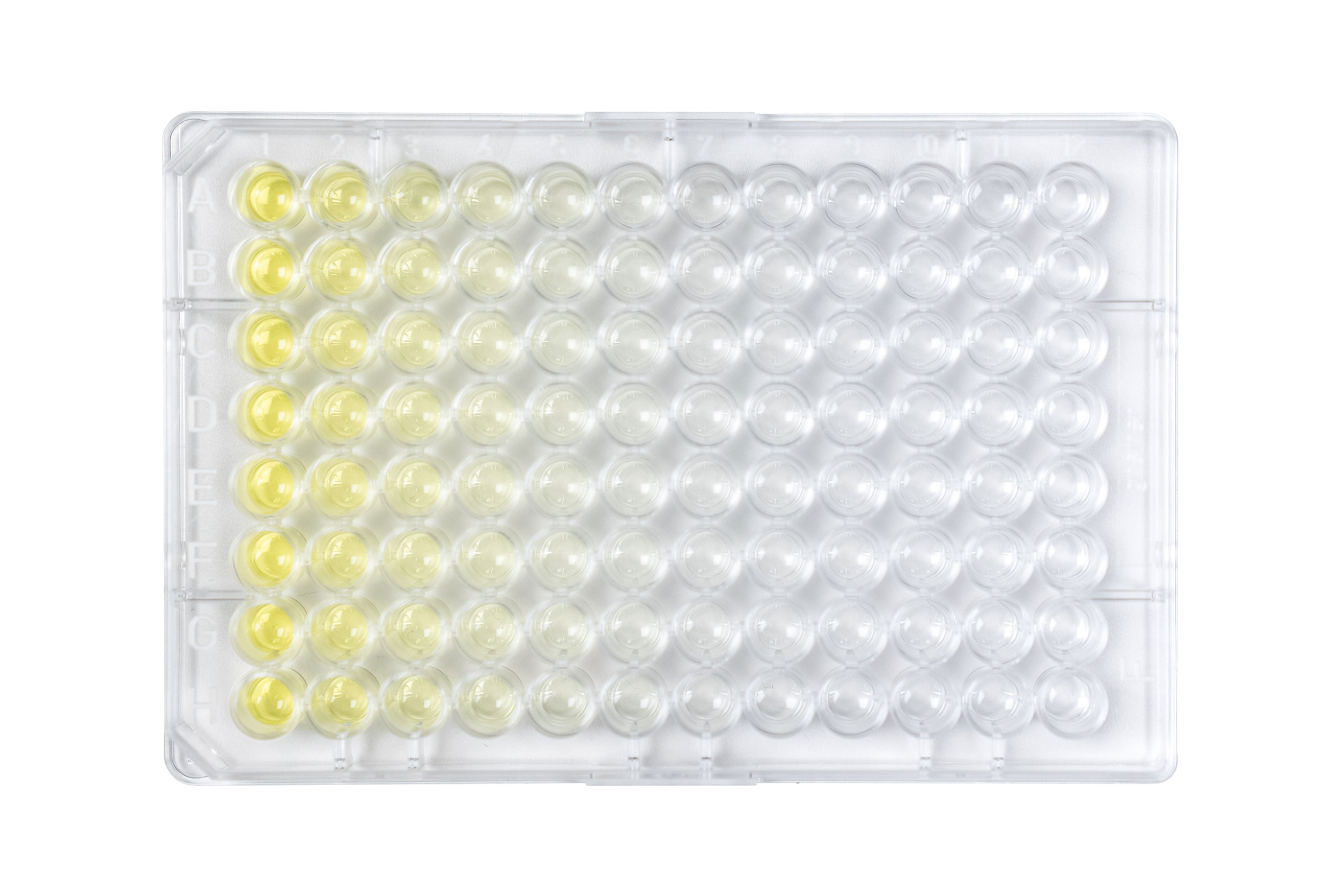 A 96 well flat-bottom plate with a finished 2-fold serial dilution of tartrazine.