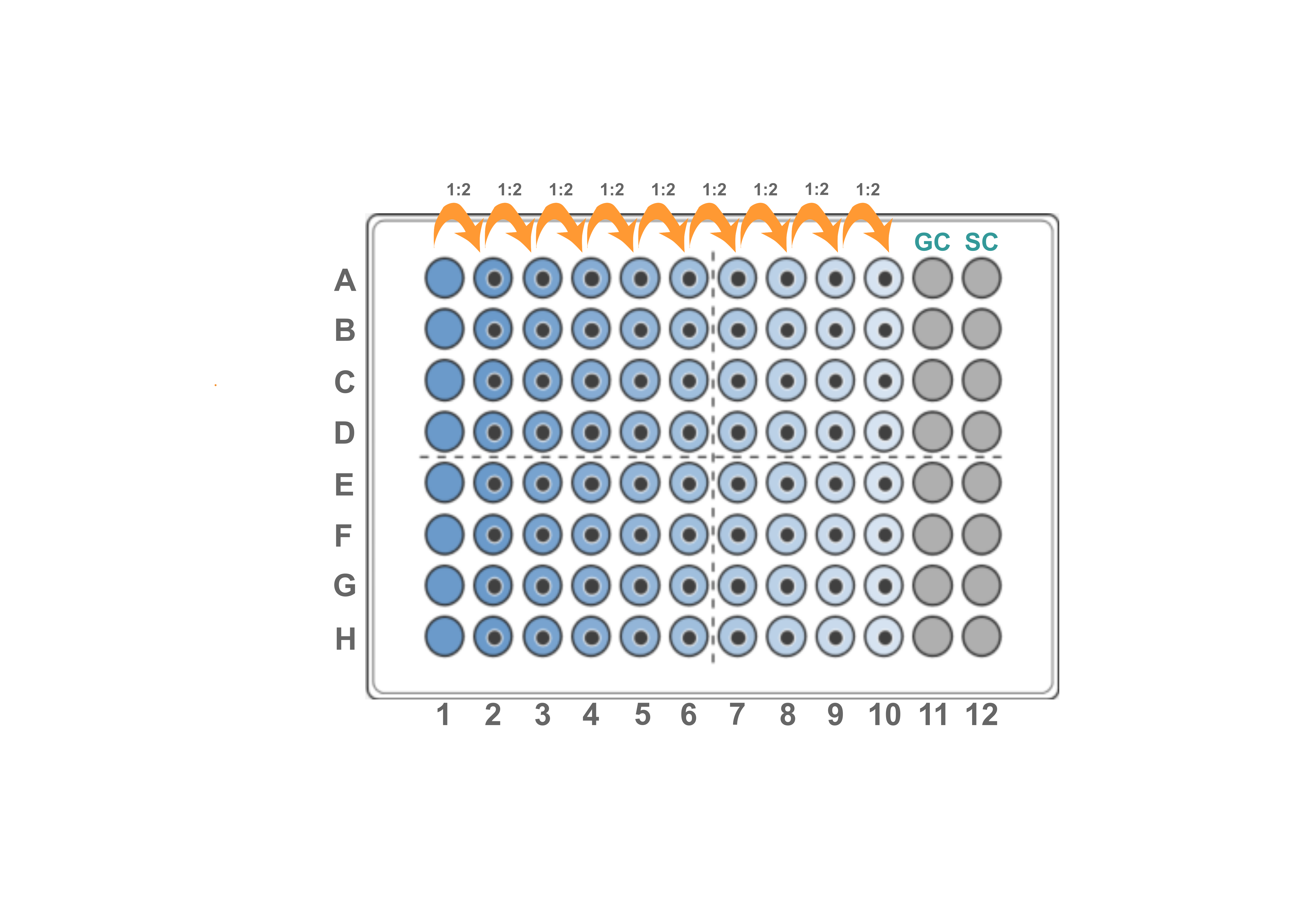 Schematic representation of the 10x twofold serial dilution (GC: growth control, SC: sterility control).
