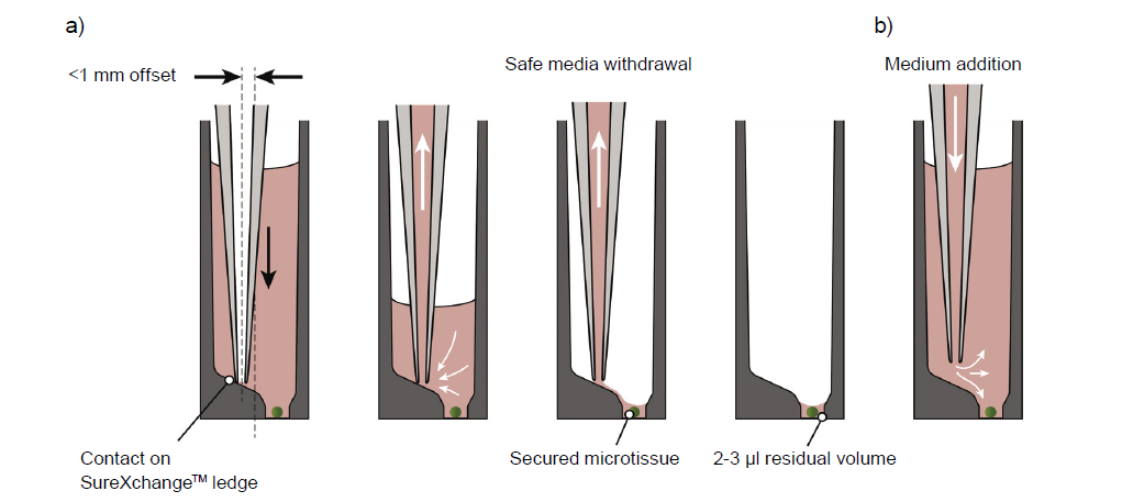 The correct pipette tip positioning on the SureXchange ledge of an Akura 96 plate during medium aspiration and dispensing shown graphically.