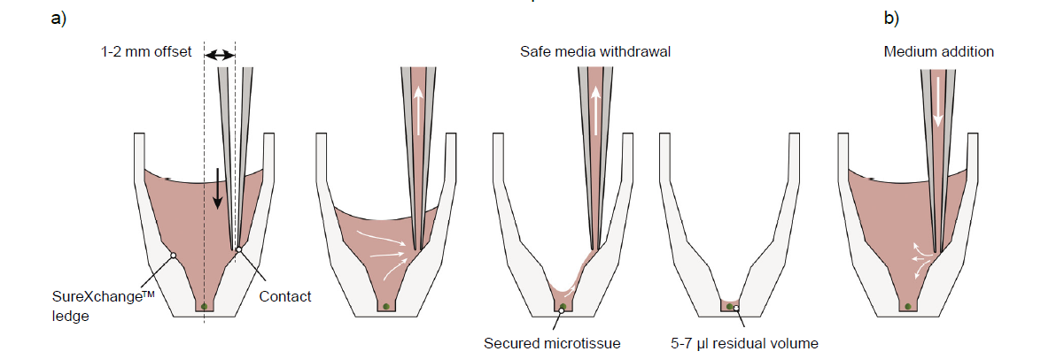 Graphic showing the correct pipette tip positioning on the SureXchange ledge of an Akura 96 plate during medium aspiration and dispense.