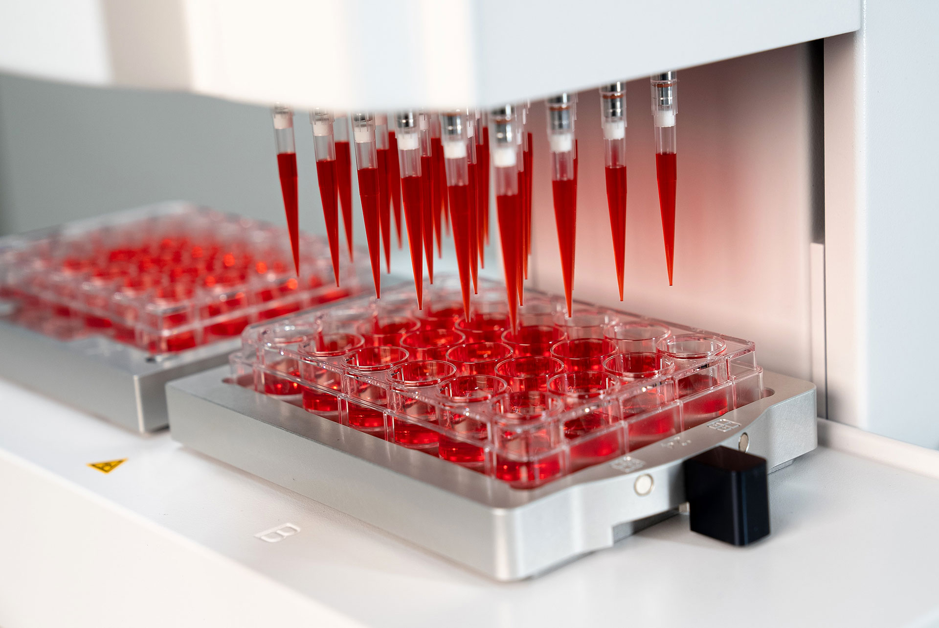 Cell culture transfer with a VIAFLO 96 handheld electronic pipette equipped with a 24 channel head.