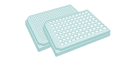96- and 384-well plate