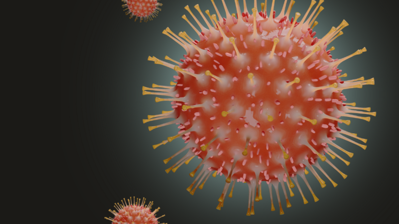 /sites/default/files/styles/placeholder/public/images/Covid%20Virus%20%281%29.png?itok=kJvFGlp9