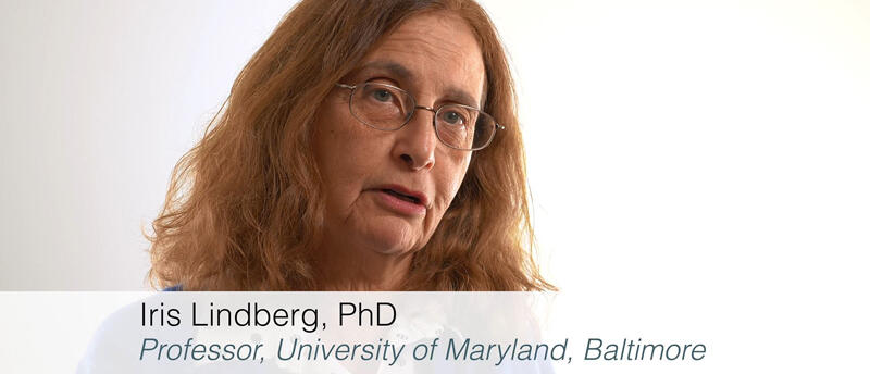 /sites/default/files/styles/placeholder/public/images/iris-lindberg-university-of-maryland.jpg?itok=fsjwWyap