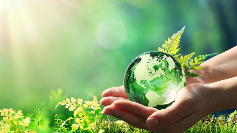 /sites/default/files/styles/placeholder/public/images/sustainability-green-integra-biosciences.png?itok=0wUvm4rE