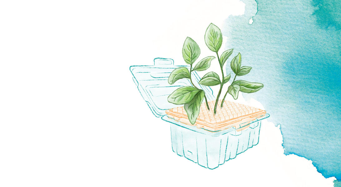illustration of the INTEGRA growing paper herbs