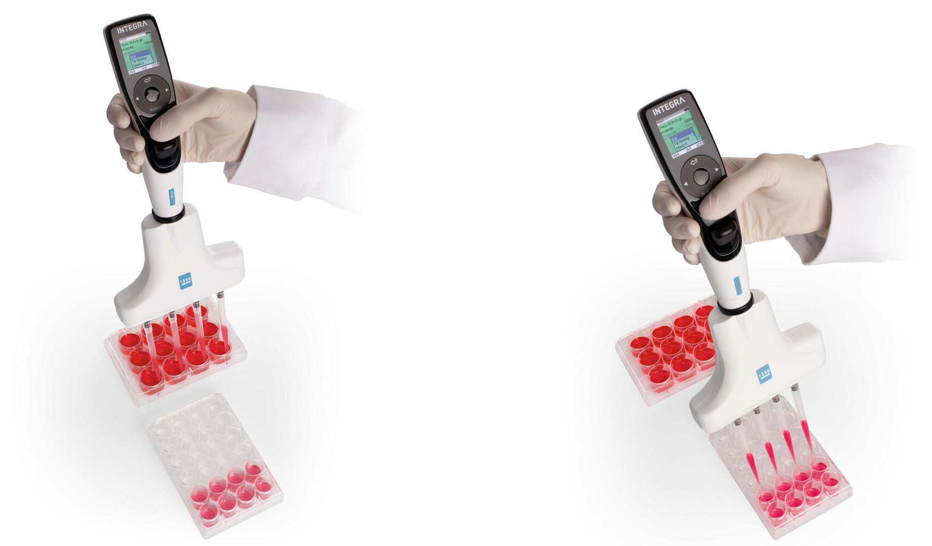 Cell seeding using a VOYAGER adjustable tip spacing pipette.