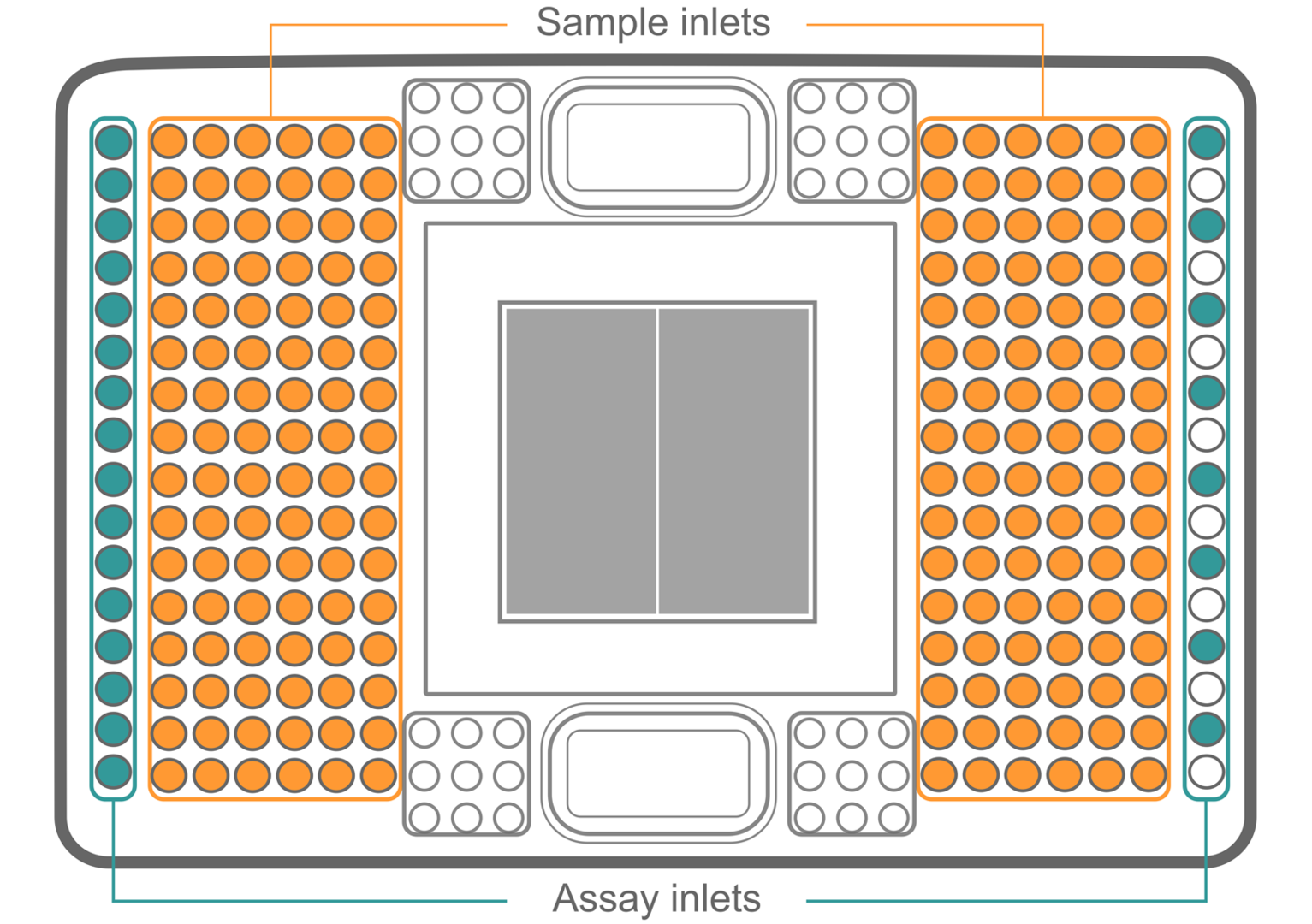 Graphical representation of Fluidigm 192.24 Dynamic Array IFC with the sample and assay inlets.