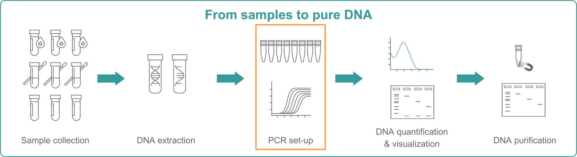 Infographic explaining that the ideal PCR lab set-up is important to extract pure DNA from samples