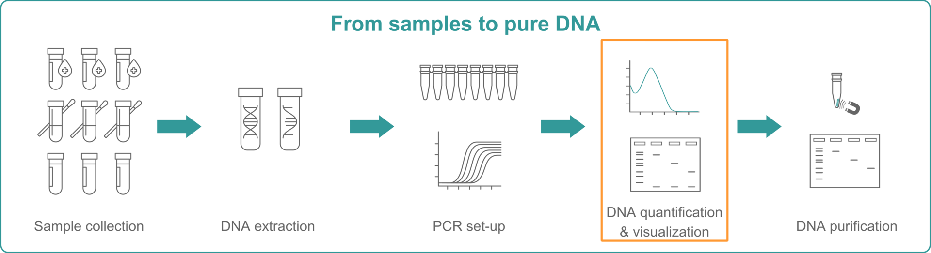 DNA quantification methods | INTEGRA