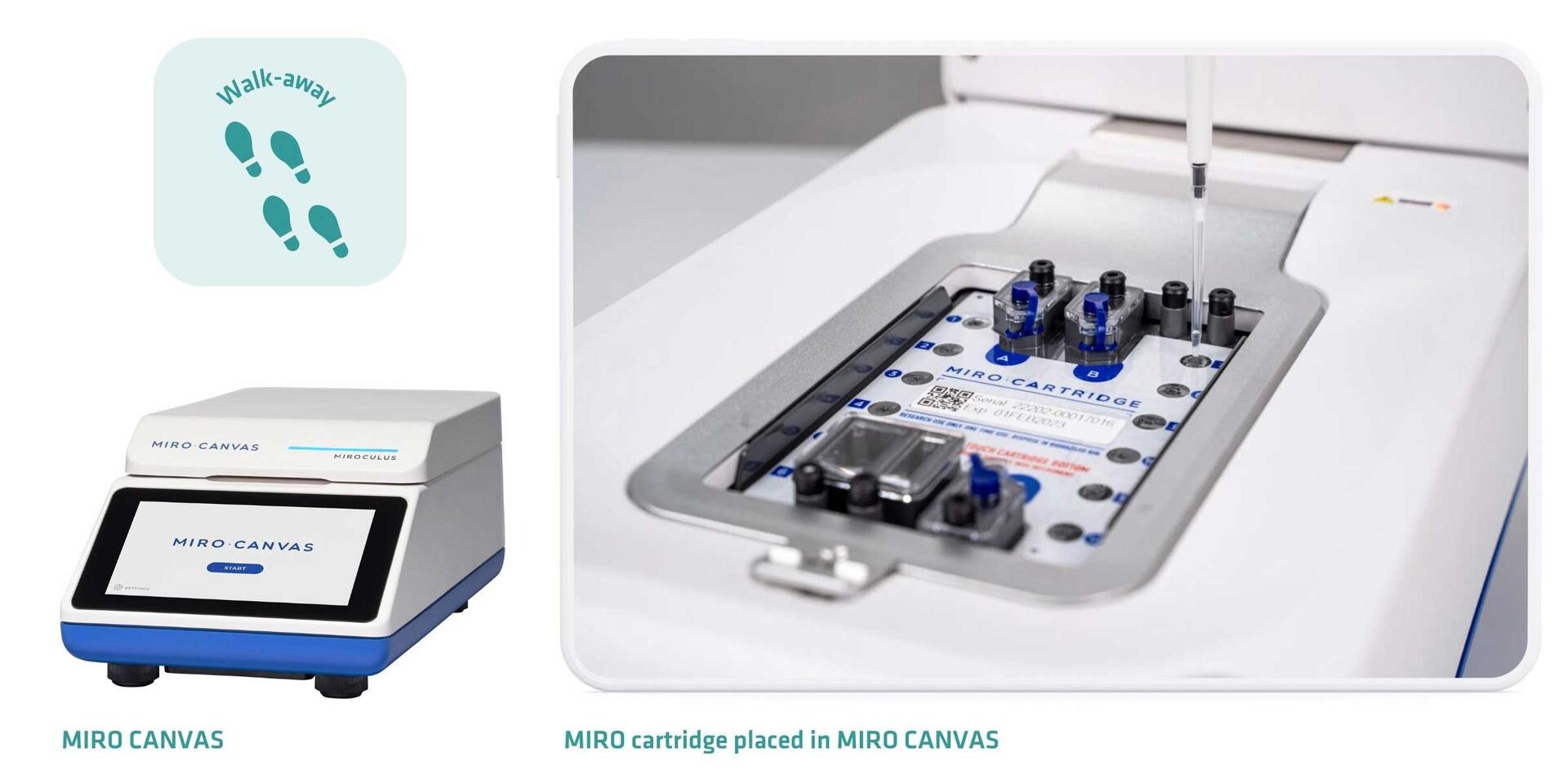 *MIRO CANVAS