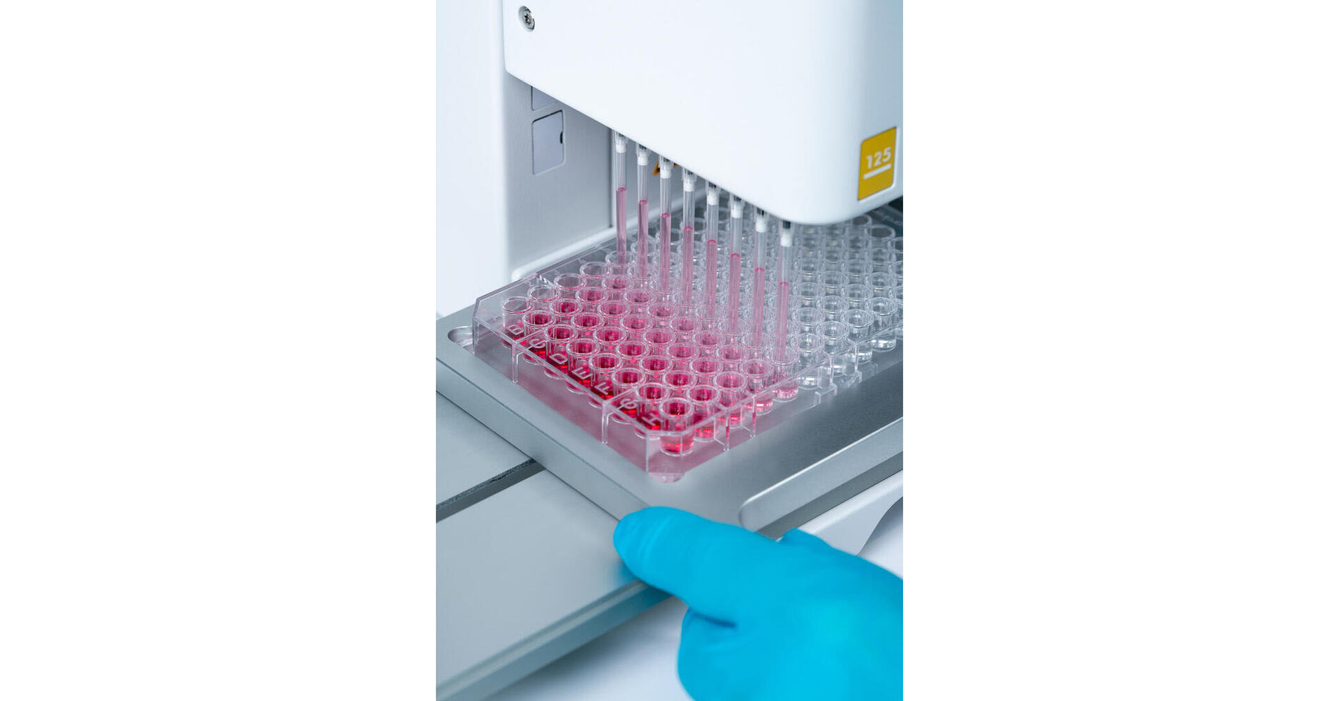 96 channel pipette with only 1 row of tips loaded is used to perform a serial dilution in a 96 well plate