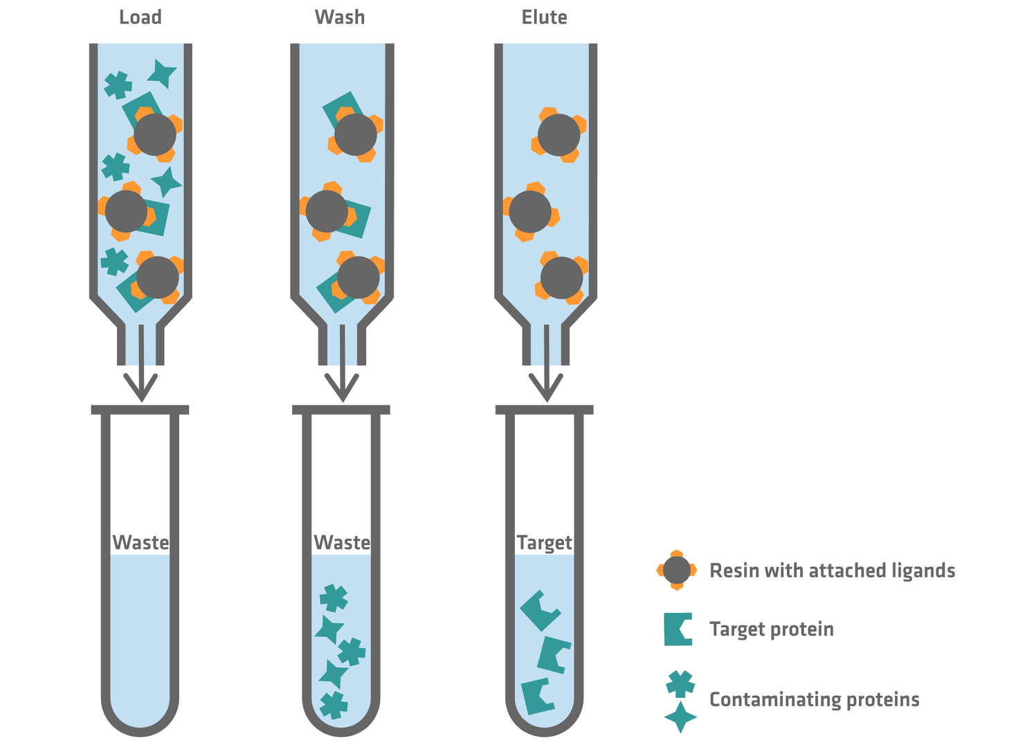 Affinity chromatography workflow