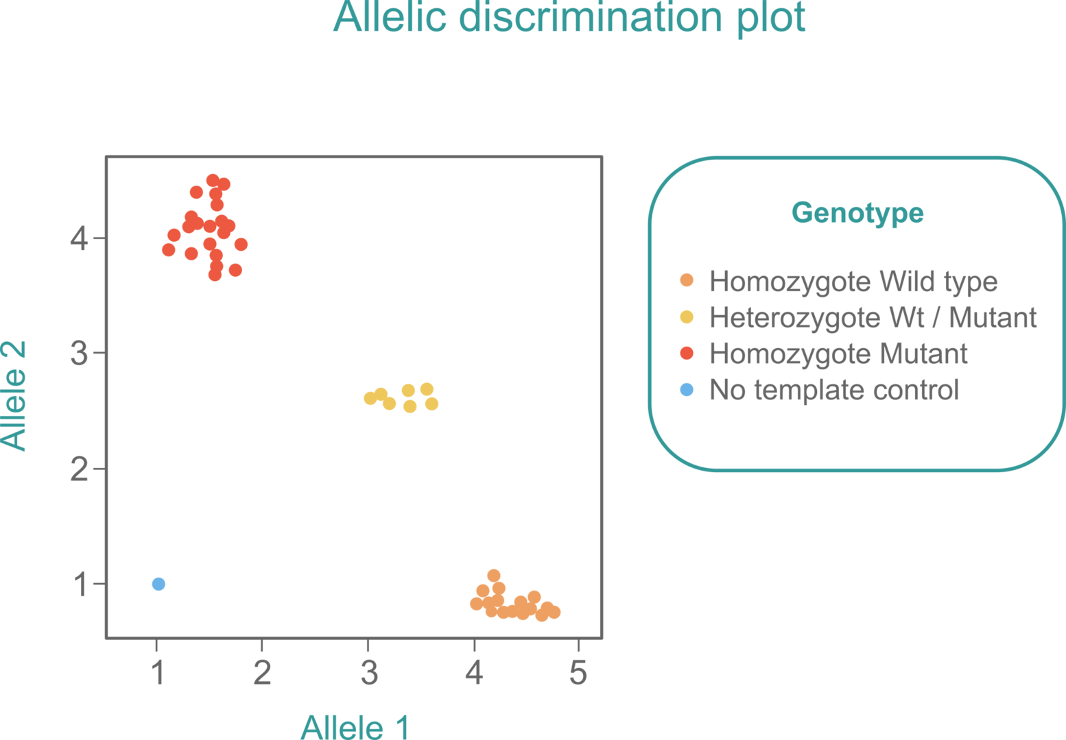 Allelic discrimination plot with Wt and mutant samples