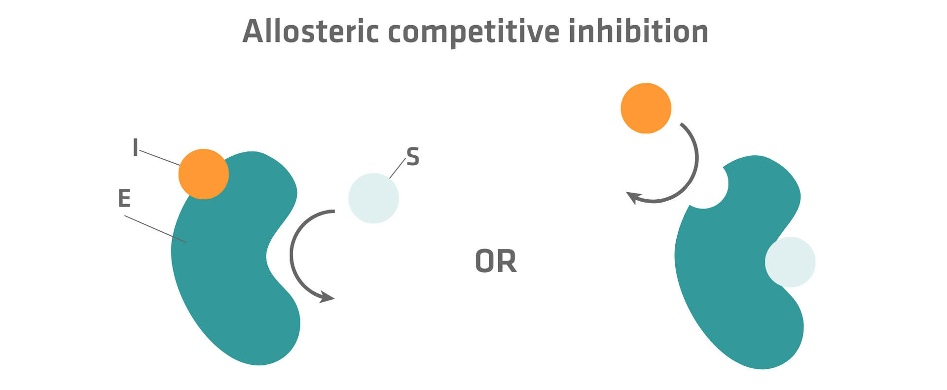 Allosteric competitive inhibition